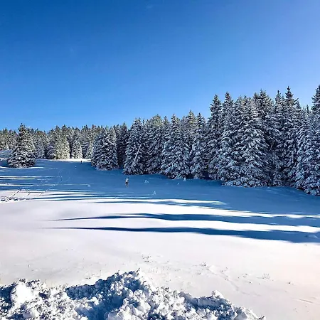 A Chamrousse, Proche Pistes Et Vue Imprenable - Fr-1-549-145 Apartment Chamrousse